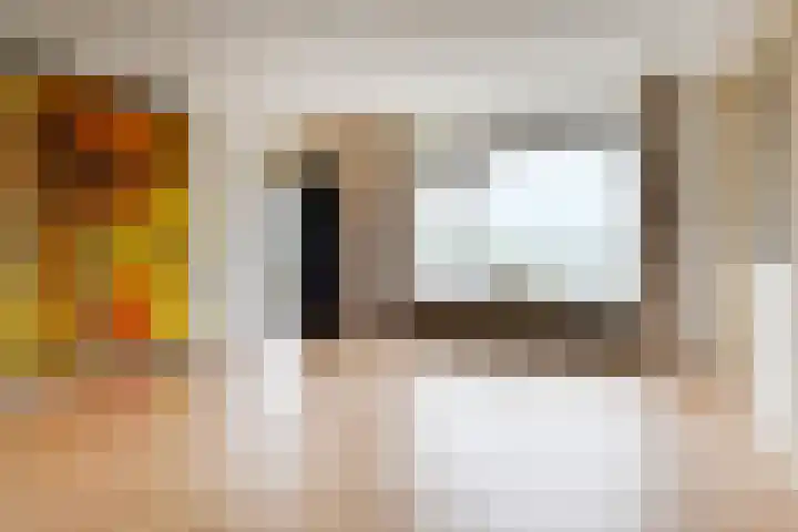 Hart Nibbrigkade 67 47 Den Haag thumbnail 21