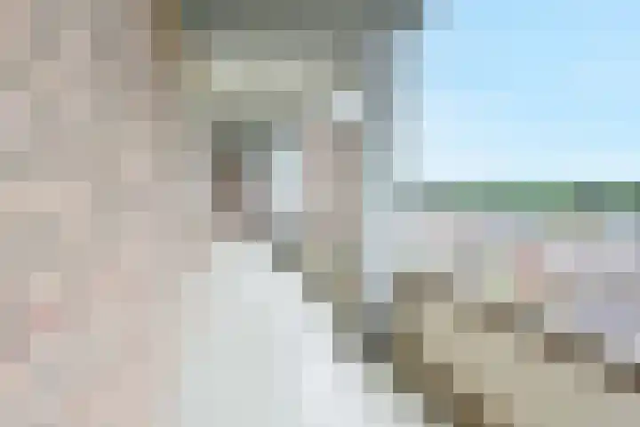 Hart Nibbrigkade 67 47 Den Haag thumbnail 4
