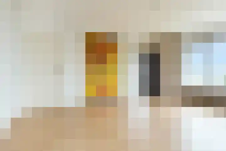 Hart Nibbrigkade 67 47 Den Haag thumbnail 7