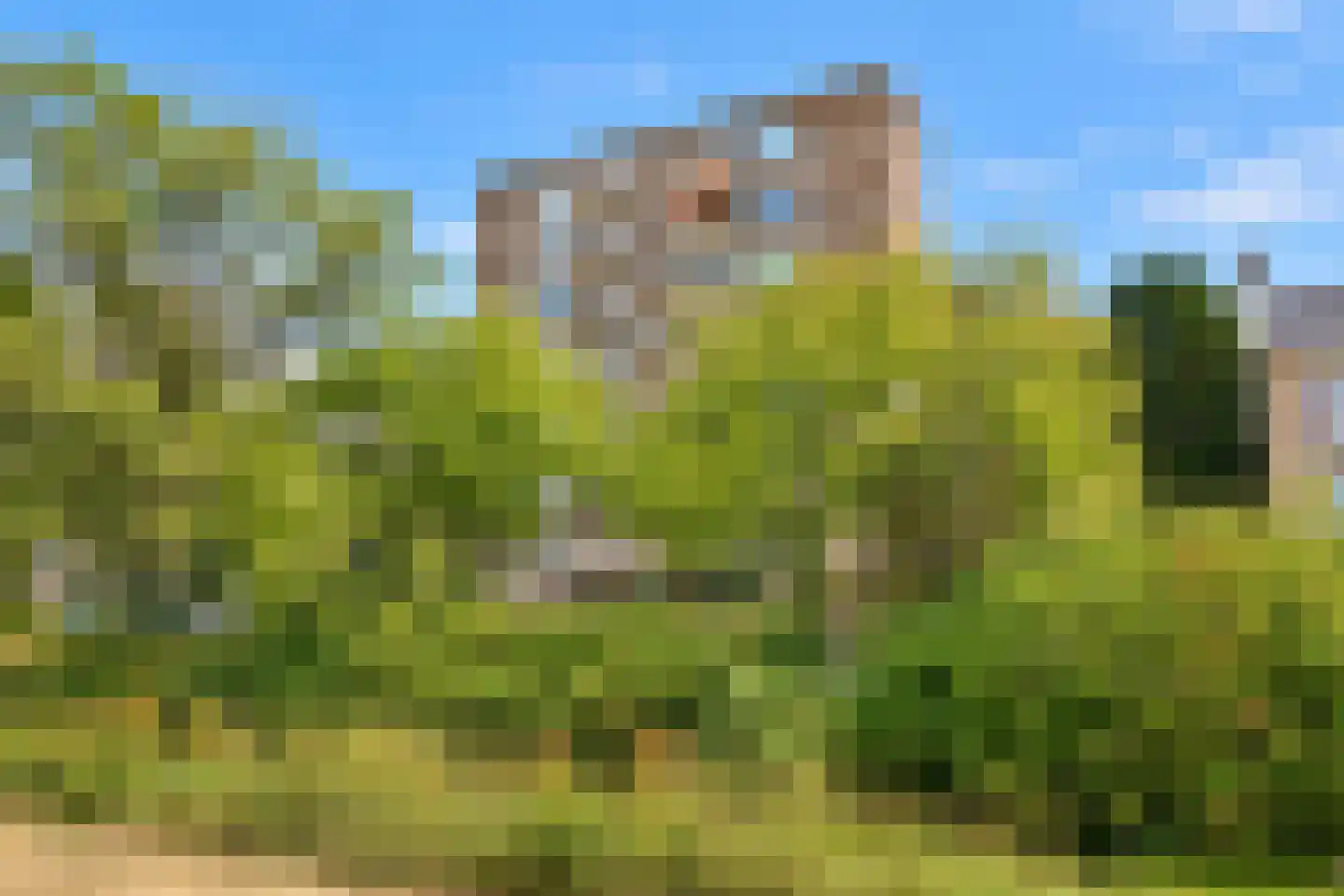 Hart Nibbrigkade 67 62 Den Haag thumbnail 19