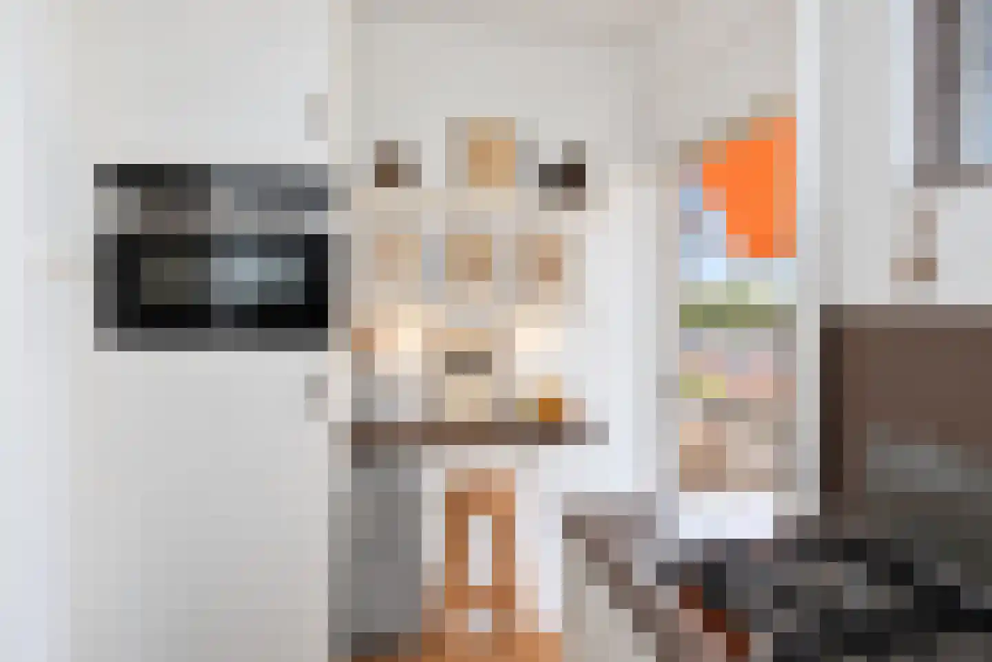 Hart Nibbrigkade 67 62 Den Haag thumbnail 8