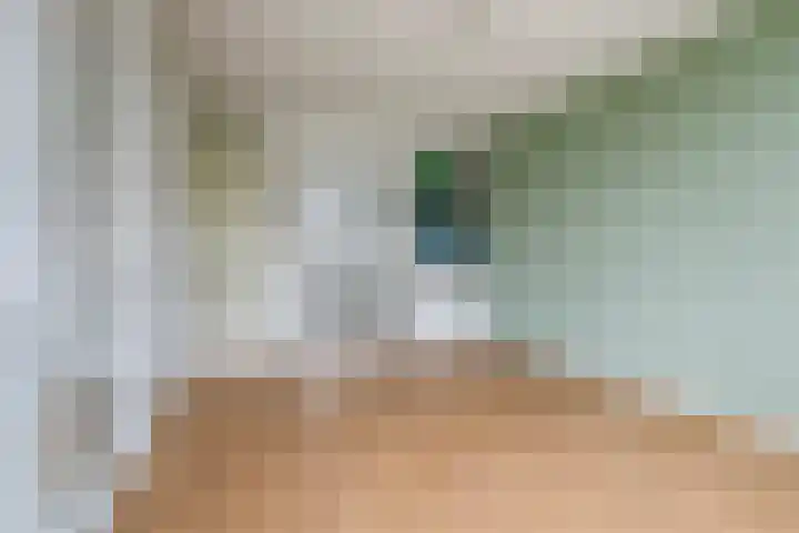 Hart Nibbrigkade 71 34 Den Haag thumbnail 10