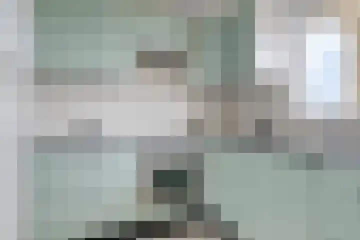 Hart Nibbrigkade 71 34 Den Haag thumbnail 12