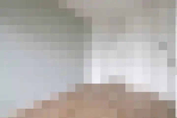 Hart Nibbrigkade 71 34 Den Haag thumbnail 15