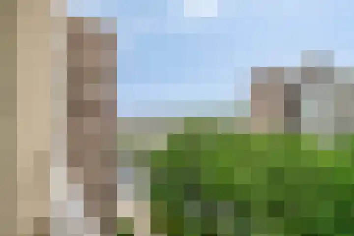 Hart Nibbrigkade 71 34 Den Haag thumbnail 19