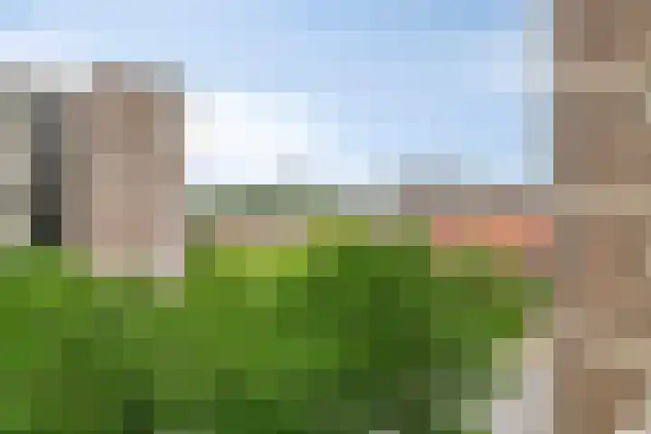 Hart Nibbrigkade 71 34 Den Haag thumbnail 20