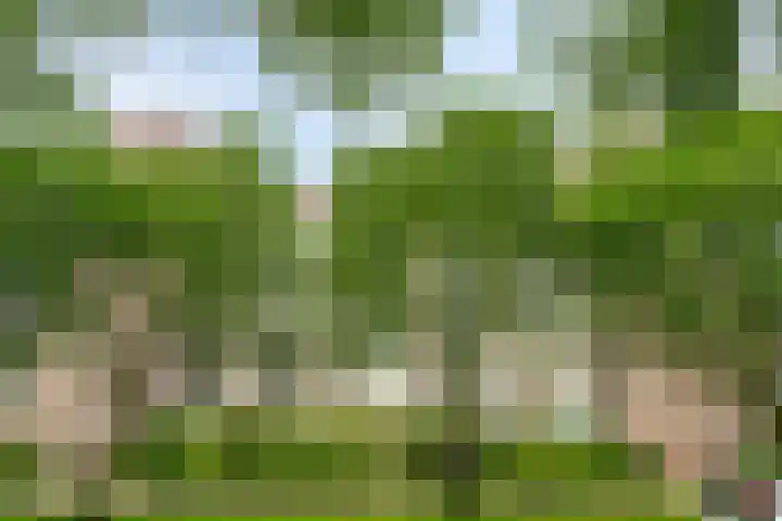 Hart Nibbrigkade 71 34 Den Haag thumbnail 25