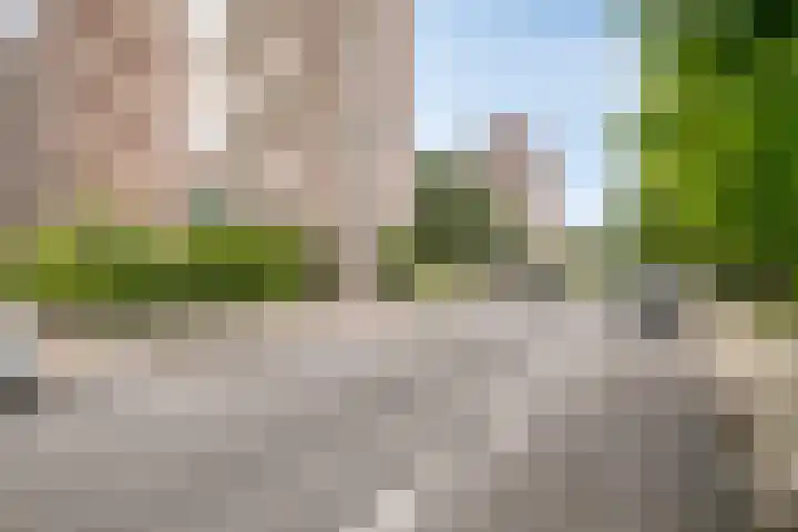 Hart Nibbrigkade 71 34 Den Haag thumbnail 26