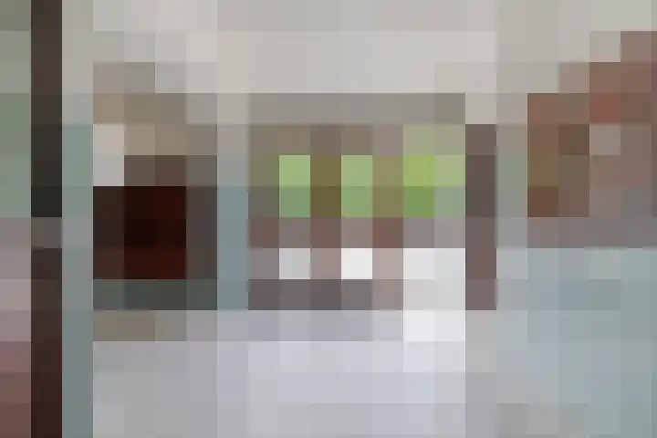 Hart Nibbrigkade 71 34 Den Haag thumbnail 30