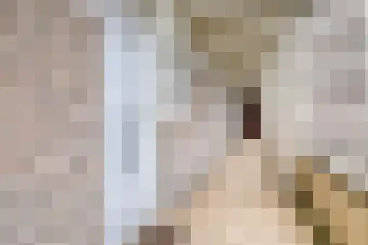 Hart Nibbrigkade 71 34 Den Haag thumbnail 6