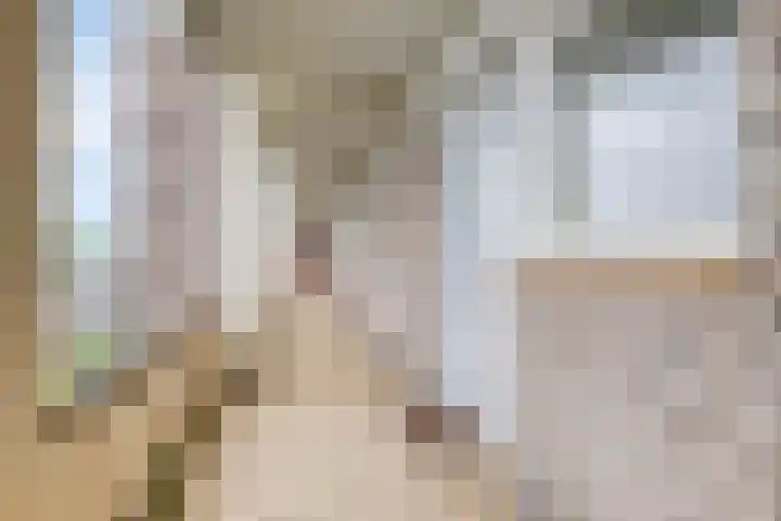 Hart Nibbrigkade 71 34 Den Haag thumbnail 7