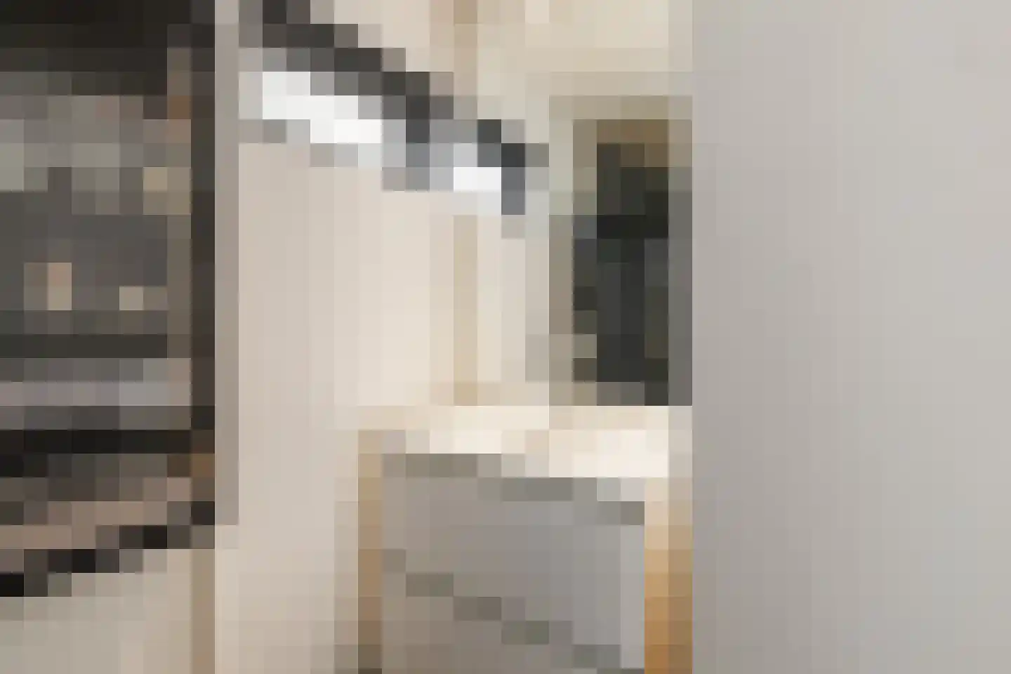 Hart Nibbrigkade 71 47 Den Haag thumbnail 18