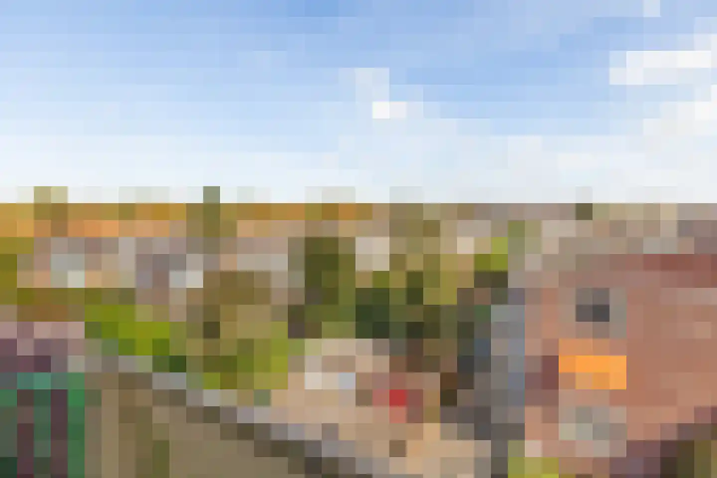 Hart Nibbrigkade 71 47 Den Haag thumbnail 9