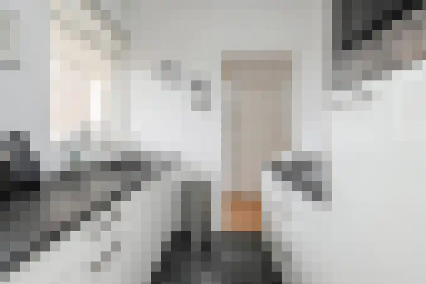 Hart Nibbrigkade 71 56 Den Haag thumbnail 17