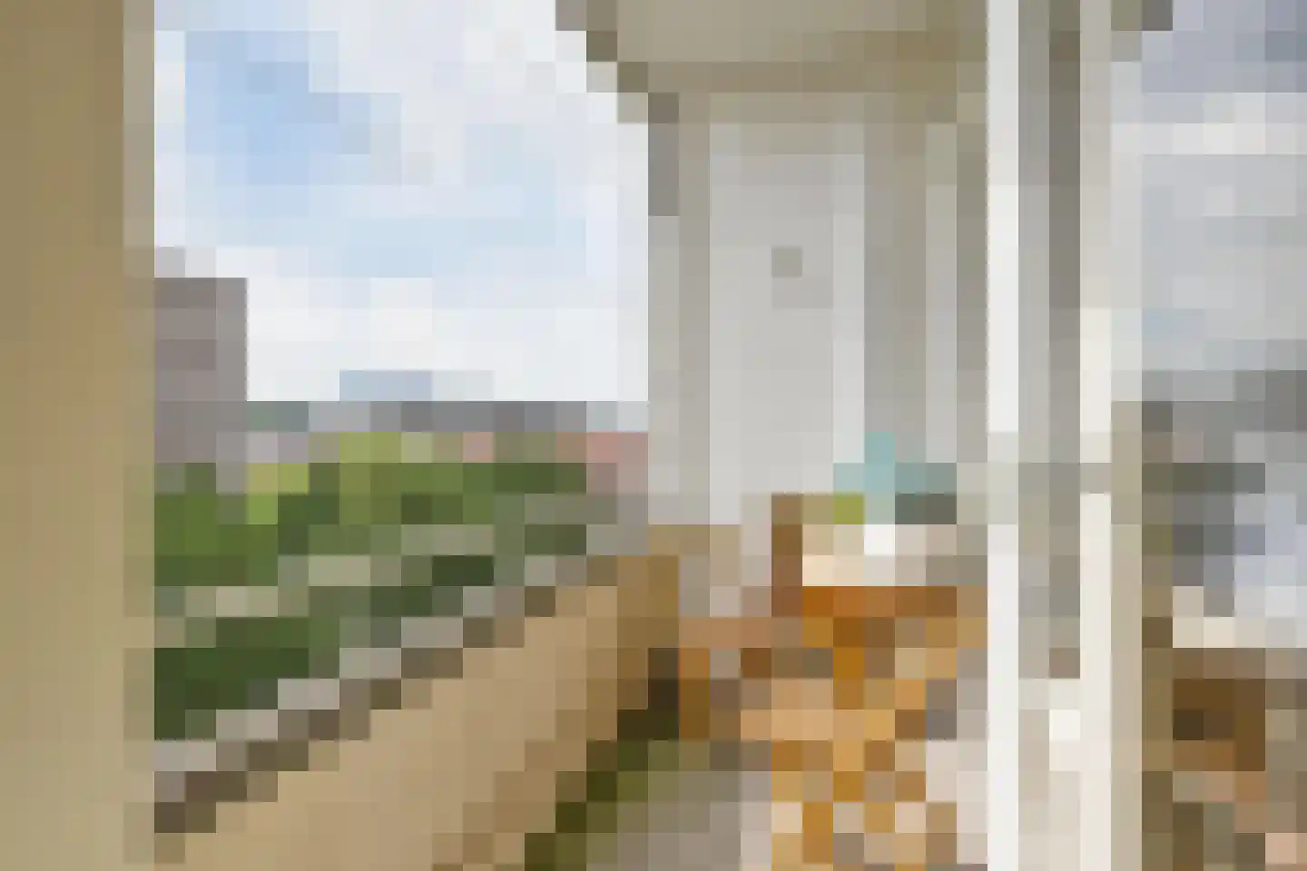 Hart Nibbrigkade 71 56 Den Haag thumbnail 28
