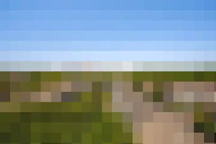 Hart Nibbrigkade 71 66 Den Haag thumbnail 10