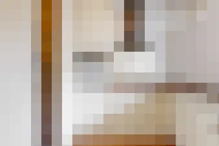 Hart Nibbrigkade 71 66 Den Haag thumbnail 10