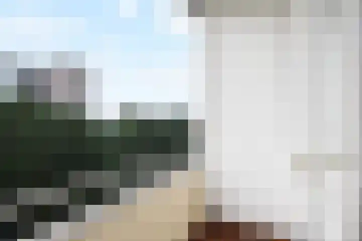 Hart Nibbrigkade 71 66 Den Haag thumbnail 11