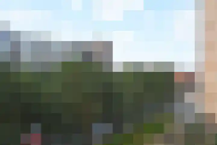 Hart Nibbrigkade 71 66 Den Haag thumbnail 13