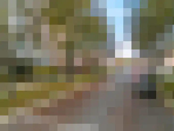 Hart Nibbrigkade 71 66 Den Haag thumbnail 15