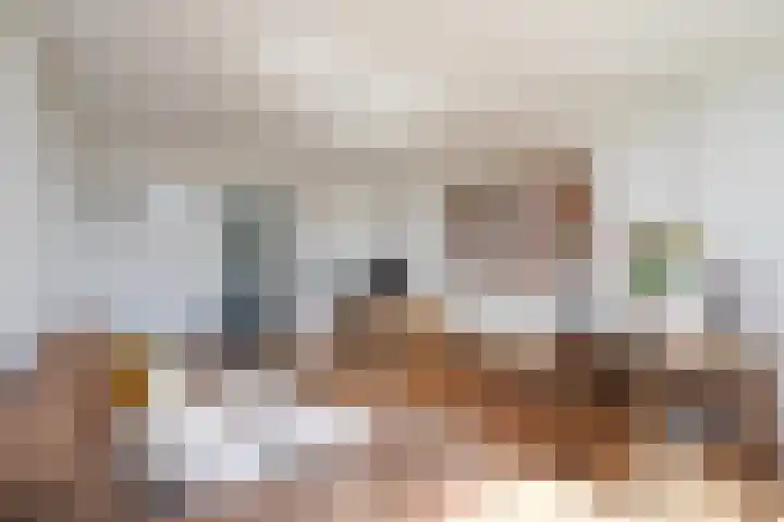 Hart Nibbrigkade 71 66 Den Haag thumbnail 18