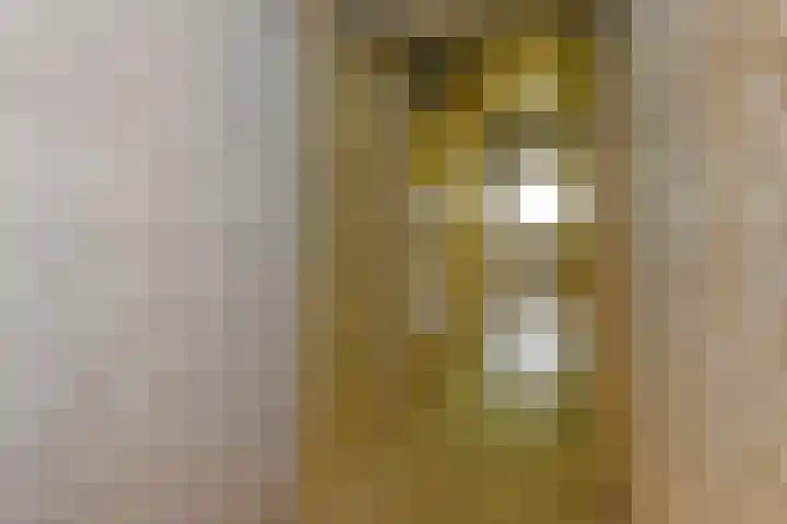 Hart Nibbrigkade 71 66 Den Haag thumbnail 19