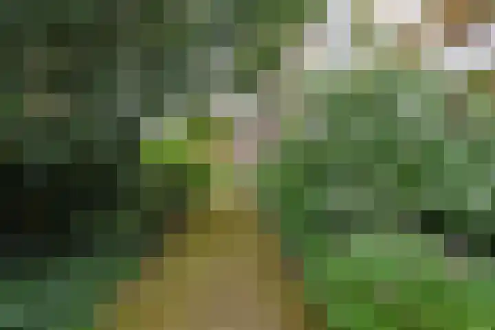 Hart Nibbrigkade 71 66 Den Haag thumbnail 22