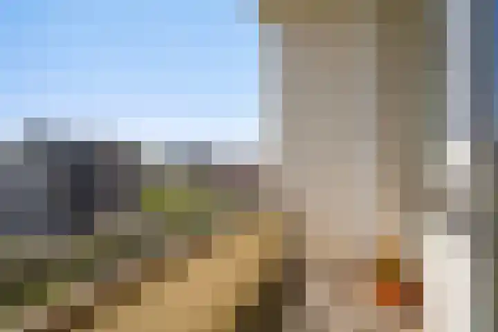 Hart Nibbrigkade 71 66 Den Haag thumbnail 23