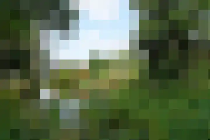 Hart Nibbrigkade 71 66 Den Haag thumbnail 23