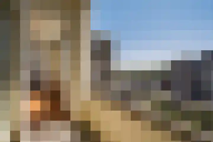 Hart Nibbrigkade 71 66 Den Haag thumbnail 24