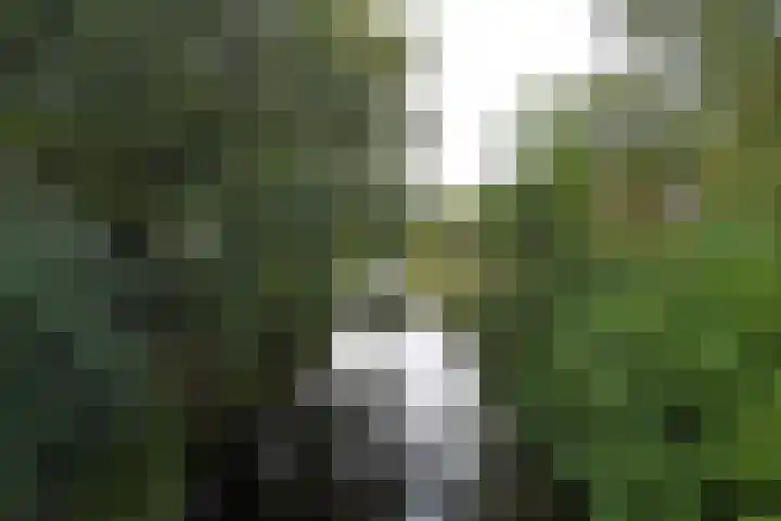 Hart Nibbrigkade 71 66 Den Haag thumbnail 24