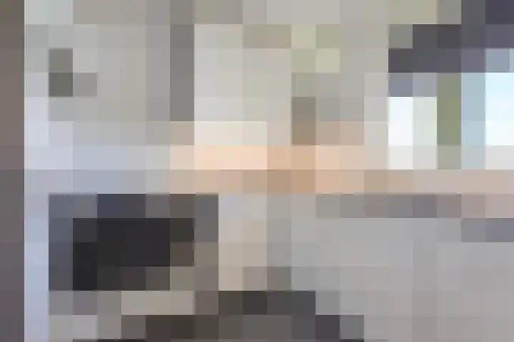 Hart Nibbrigkade 71 66 Den Haag thumbnail 25