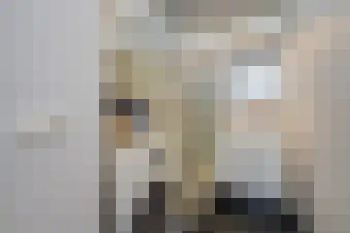 Hart Nibbrigkade 71 66 Den Haag thumbnail 28