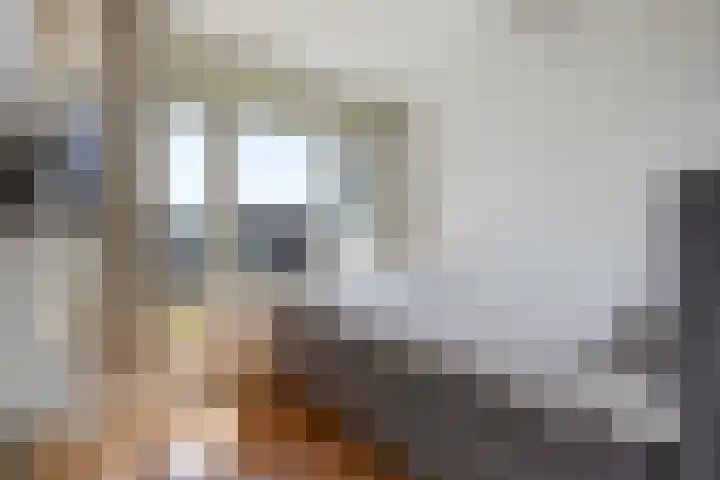 Hart Nibbrigkade 71 66 Den Haag thumbnail 29