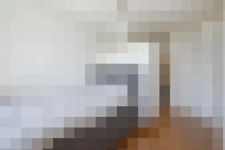 Hart Nibbrigkade 71 66 Den Haag thumbnail 31