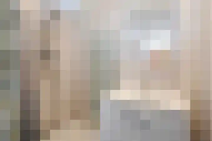 Hart Nibbrigkade 71 66 Den Haag thumbnail 33