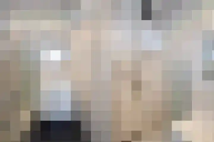 Hart Nibbrigkade 71 66 Den Haag thumbnail 35