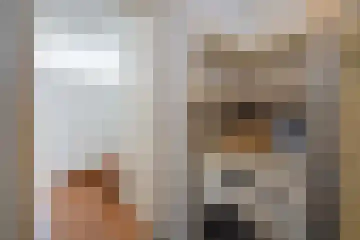 Hart Nibbrigkade 71 66 Den Haag thumbnail 37
