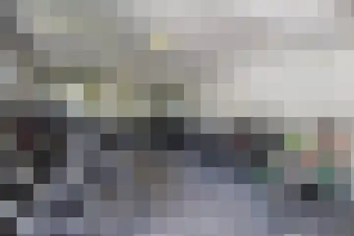 Hart Nibbrigkade 71 66 Den Haag thumbnail 38