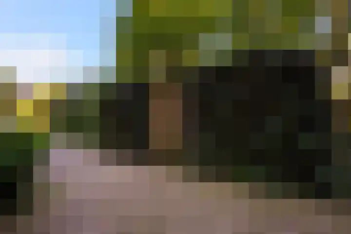 Hart Nibbrigkade 71 66 Den Haag thumbnail 39