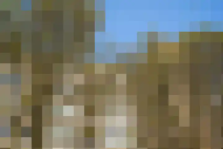 Hart Nibbrigkade 71 66 Den Haag thumbnail 4