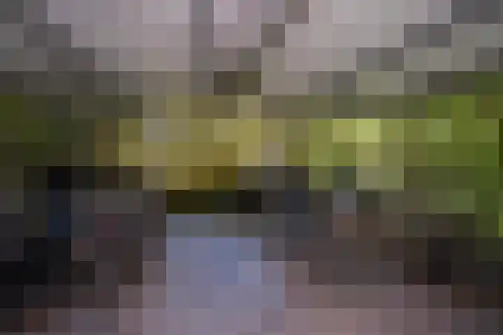 Hart Nibbrigkade 71 66 Den Haag thumbnail 40