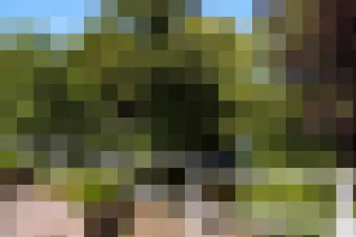 Hart Nibbrigkade 71 66 Den Haag thumbnail 41
