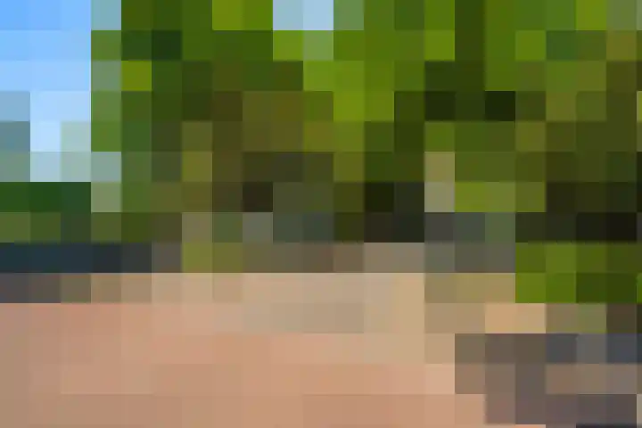 Hart Nibbrigkade 71 66 Den Haag thumbnail 43
