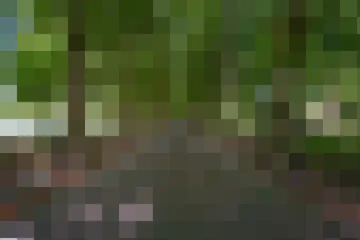 Hart Nibbrigkade 71 66 Den Haag thumbnail 44