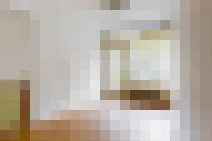 Hart Nibbrigkade 71 66 Den Haag thumbnail 7