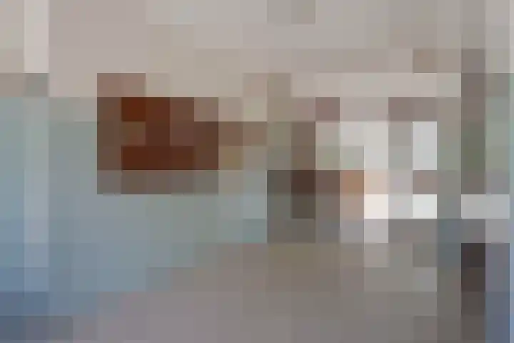 Hart Nibbrigkade 71 66 Den Haag thumbnail 7