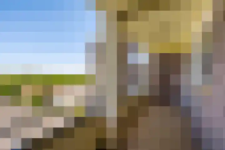 Hart Nibbrigkade 71 66 Den Haag thumbnail 8