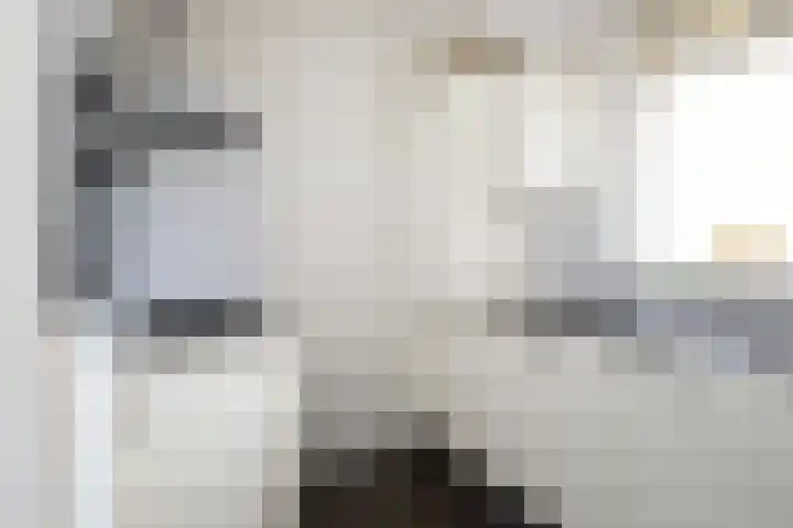 Hart Nibbrigkade 71 66 Den Haag thumbnail 8