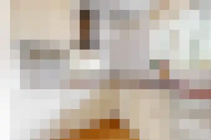 Hart Nibbrigkade 71 66 Den Haag thumbnail 9